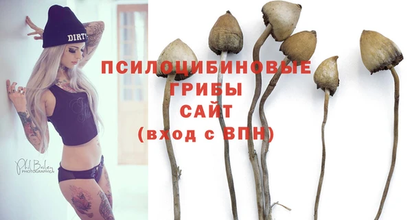 гашик Алексеевка