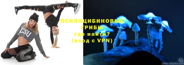 гашик Алексеевка