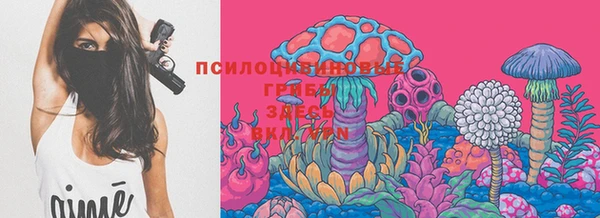 дурь Алексин