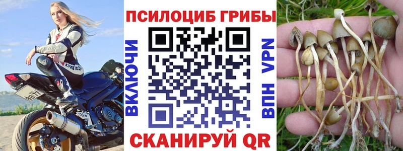 Псилоцибиновые грибы мицелий Алексеевка