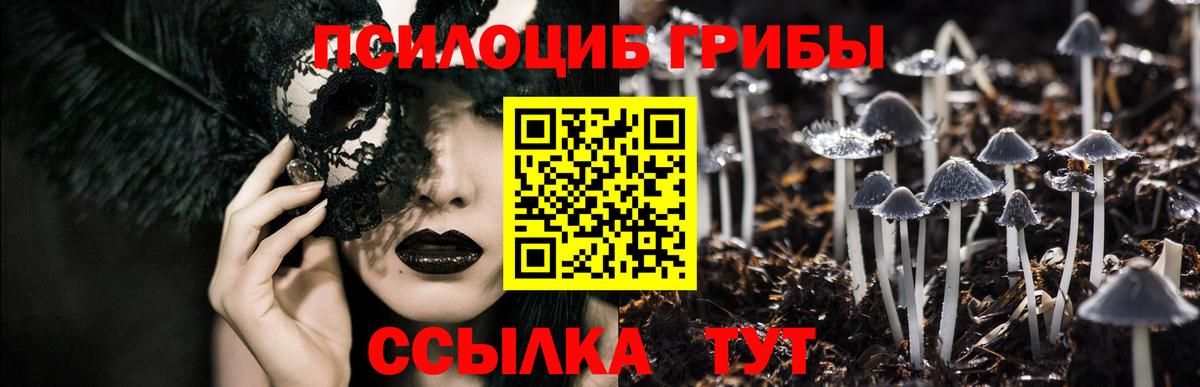 Псилоцибиновые грибы Psilocybine cubensis  Вход с VPN  Алексеевка 